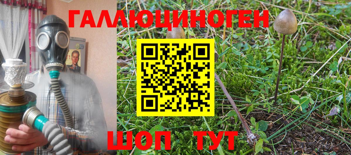 Галлюциногенные грибы мицелий Щёлково