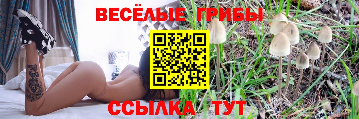 Щёлково  Галлюциногенные грибы GOLDEN TEACHER  Вход с VPN 